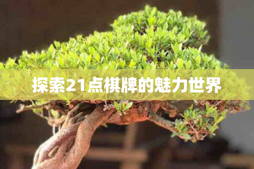 探索21点棋牌的魅力世界 探索21点棋牌的魅力世界