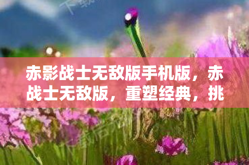 赤影战士无敌版手机版,赤战士无敌版,重塑经典,挑战无限 赤影战士无敌版手机版,赤战士无敌版,重塑经典,挑战无限