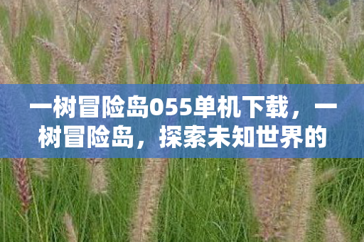 一树冒险岛055单机下载，一树冒险岛，探索未知世界的奇妙之旅