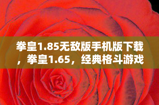 拳皇1.85无敌版手机版下载,拳皇1.65,经典格斗游戏的全新篇章 拳皇1.85无敌版手机版下载,拳皇1.65,经典格斗游戏的全新篇章