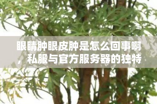 眼睛肿眼皮肿是怎么回事啊,私服与官方服务器的独特魅力,探索游戏世界的不同维度 眼睛肿眼皮肿是怎么回事啊,私服与官方服务器的独特魅力,探索游戏世界的不同维度