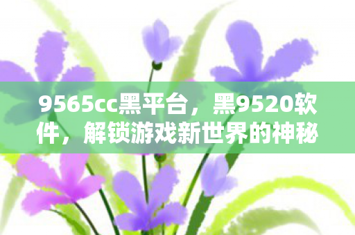 9565cc黑平台，黑9520软件，解锁游戏新世界的神秘钥匙