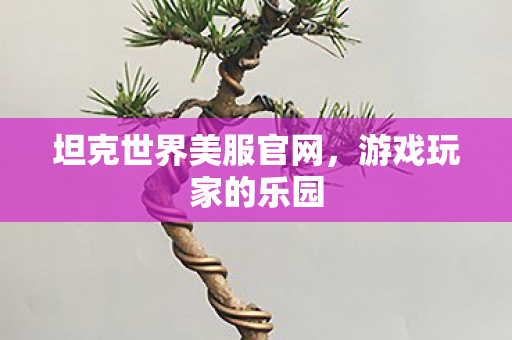 坦克世界美服官网,游戏玩家的乐园 坦克世界美服官网,游戏玩家的乐园