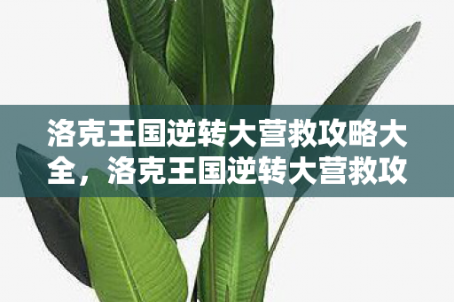 洛克王国逆转大营救攻略大全,洛克王国逆转大营救攻略 洛克王国逆转大营救攻略大全,洛克王国逆转大营救攻略