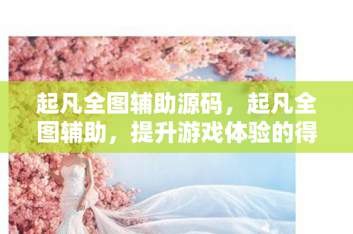 起凡全图辅助源码，起凡全图辅助，提升游戏体验的得力助手