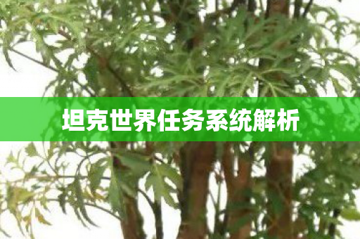 坦克世界任务系统解析 坦克世界任务系统解析