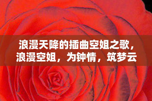 浪漫天降的插曲空姐之歌，浪漫空姐，为钟情，筑梦云端