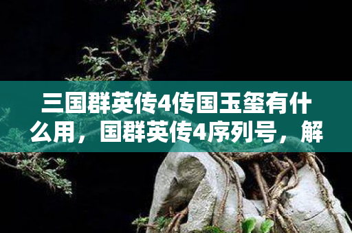三国群英传4传国玉玺有什么用，国群英传4序列号，解锁传奇之旅的钥匙