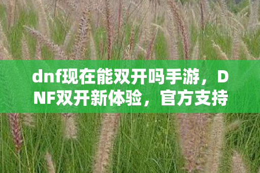 dnf现在能双开吗手游，DNF双开新体验，官方支持与多账号便捷操作