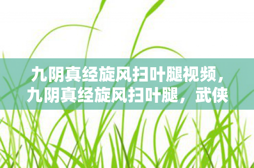 九阴真经旋风扫叶腿视频,九阴真经旋风扫叶腿,武侠世界中的绝世武技 九阴真经旋风扫叶腿视频,九阴真经旋风扫叶腿,武侠世界中的绝世武技