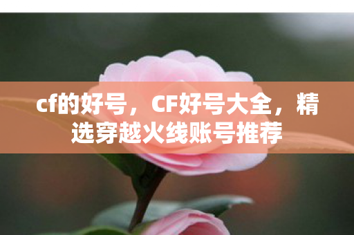 cf的好号,CF好号大全,精选穿越火线账号推荐 cf的好号,CF好号大全,精选穿越火线账号推荐