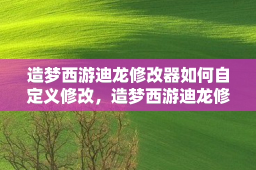 造梦西游迪龙修改器如何自定义修改,造梦西游迪龙修改器,解锁无限可能的冒险之旅 造梦西游迪龙修改器如何自定义修改,造梦西游迪龙修改器,解锁无限可能的冒险之旅