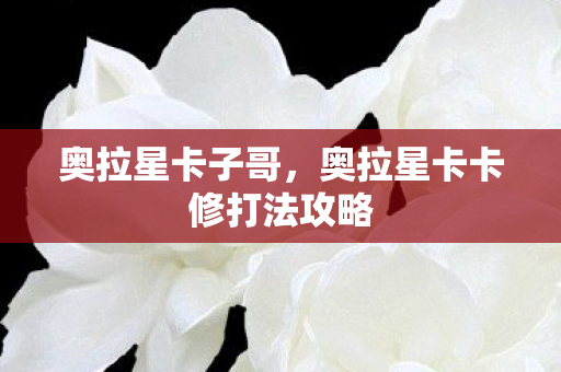 奥拉星卡子哥,奥拉星卡卡修打法攻略 奥拉星卡子哥,奥拉星卡卡修打法攻略
