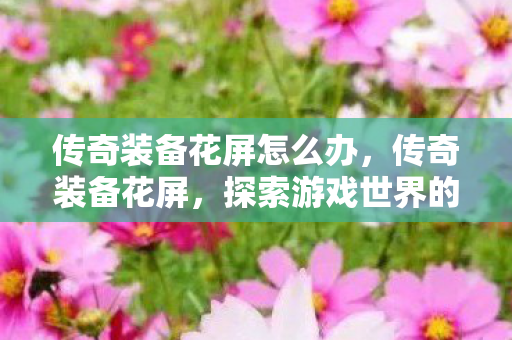 传奇装备花屏怎么办,传奇装备花屏,探索游戏世界的视觉盛宴 传奇装备花屏怎么办,传奇装备花屏,探索游戏世界的视觉盛宴