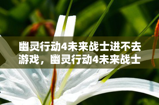 幽灵行动4未来战士进不去游戏,幽灵行动4未来战士无法进入的解决策略 幽灵行动4未来战士进不去游戏,幽灵行动4未来战士无法进入的解决策略