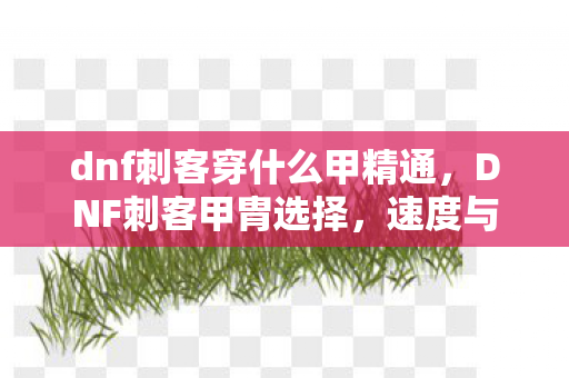 dnf刺客穿什么甲精通,DNF刺客甲胄选择,速度与生存并重 dnf刺客穿什么甲精通,DNF刺客甲胄选择,速度与生存并重