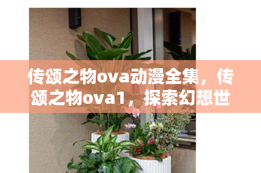 传颂之物ova动漫全集，传颂之物ova1，探索幻想世界的深度与广度