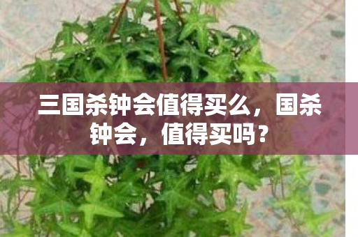三国杀钟会值得买么，国杀钟会，值得买吗？