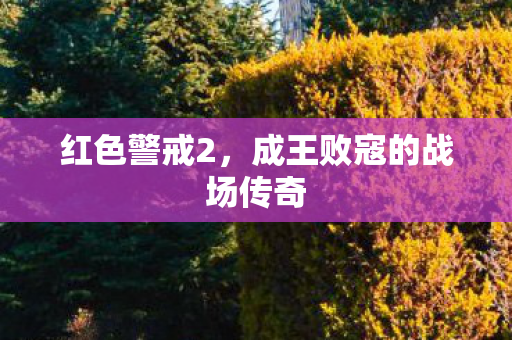 红色警戒2,成王败寇的战场传奇 红色警戒2,成王败寇的战场传奇