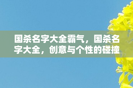 国杀名字大全霸气,国杀名字大全,创意与个性的碰撞 国杀名字大全霸气,国杀名字大全,创意与个性的碰撞