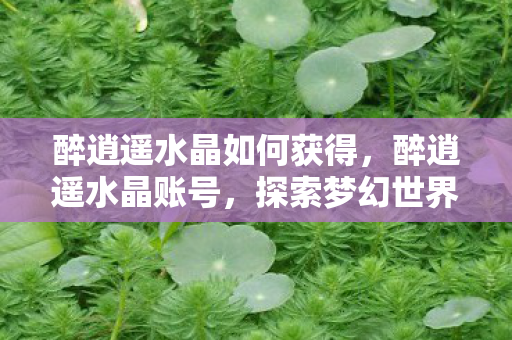 醉逍遥水晶如何获得,醉逍遥水晶账号,探索梦幻世界的独特之旅 醉逍遥水晶如何获得,醉逍遥水晶账号,探索梦幻世界的独特之旅