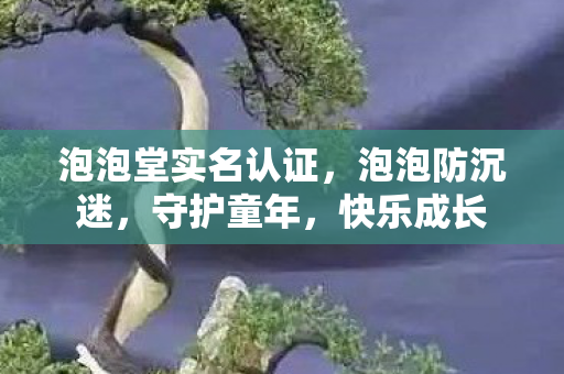 泡泡堂实名认证,泡泡防沉迷,守护童年,快乐成长 泡泡堂实名认证,泡泡防沉迷,守护童年,快乐成长