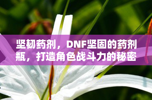 坚韧药剂,DNF坚固的药剂瓶,打造角色战斗力的秘密武器 坚韧药剂,DNF坚固的药剂瓶,打造角色战斗力的秘密武器