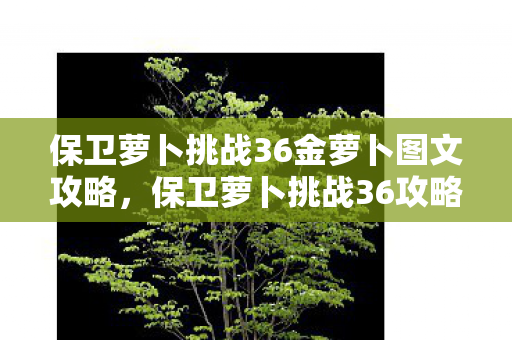 保卫萝卜挑战36金萝卜图文攻略,保卫萝卜挑战36攻略金萝卜布阵图 保卫萝卜挑战36金萝卜图文攻略,保卫萝卜挑战36攻略金萝卜布阵图
