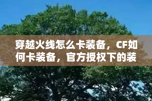 穿越火线怎么卡装备,CF如何卡装备,官方授权下的装备获取技巧 穿越火线怎么卡装备,CF如何卡装备,官方授权下的装备获取技巧
