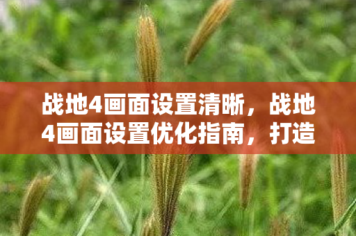 战地4画面设置清晰,战地4画面设置优化指南,打造极致游戏体验 战地4画面设置清晰,战地4画面设置优化指南,打造极致游戏体验
