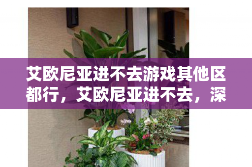 艾欧尼亚进不去游戏其他区都行,艾欧尼亚进不去,深度解析游戏服务器连接问题 艾欧尼亚进不去游戏其他区都行,艾欧尼亚进不去,深度解析游戏服务器连接问题