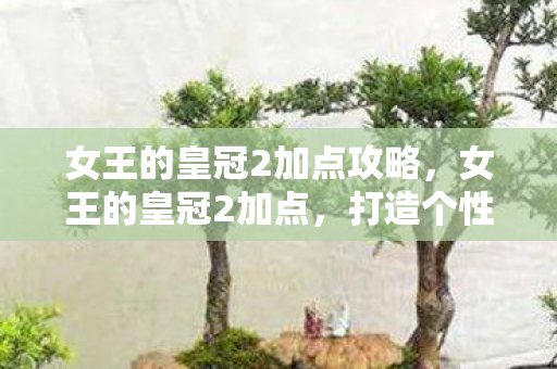 女王的皇冠2加点攻略,女王的皇冠2加点,打造个性化角色,尽享游戏乐趣 女王的皇冠2加点攻略,女王的皇冠2加点,打造个性化角色,尽享游戏乐趣