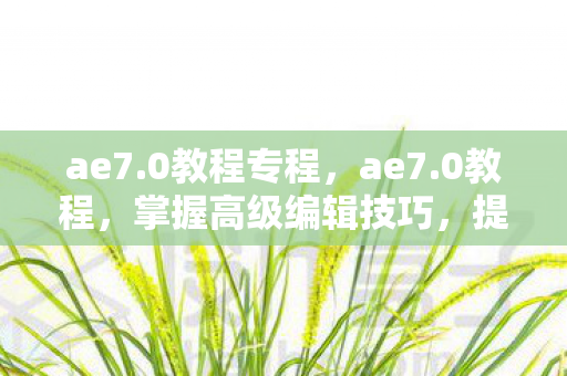 ae7.0教程专程，ae7.0教程，掌握高级编辑技巧，提升视频创作效率