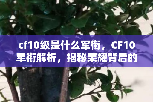 cf10级是什么军衔，CF10军衔解析，揭秘荣耀背后的等级制度