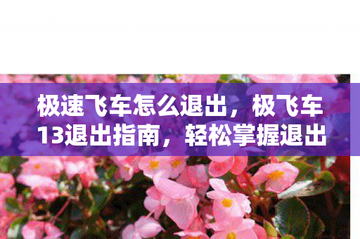 极速飞车怎么退出,极飞车13退出指南,轻松掌握退出流程 极速飞车怎么退出,极飞车13退出指南,轻松掌握退出流程