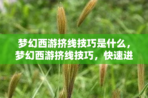 梦幻西游挤线技巧是什么,梦幻西游挤线技巧,快速进入游戏的秘诀 梦幻西游挤线技巧是什么,梦幻西游挤线技巧,快速进入游戏的秘诀