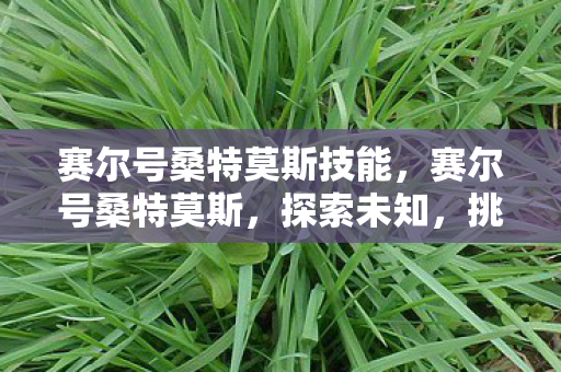 赛尔号桑特莫斯技能，赛尔号桑特莫斯，探索未知，挑战极限