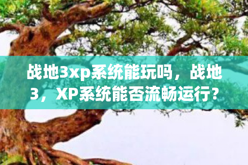 战地3xp系统能玩吗,战地3,XP系统能否流畅运行? 战地3xp系统能玩吗,战地3,XP系统能否流畅运行?