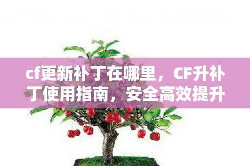 cf更新补丁在哪里，CF升补丁使用指南，安全高效提升游戏体验