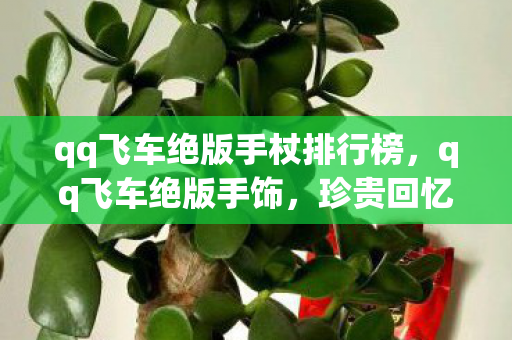 qq飞车绝版手杖排行榜,qq飞车绝版手饰,珍贵回忆与独特魅力的永恒印记 qq飞车绝版手杖排行榜,qq飞车绝版手饰,珍贵回忆与独特魅力的永恒印记