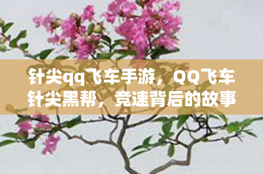 针尖qq飞车手游,QQ飞车针尖黑帮,竞速背后的故事 针尖qq飞车手游,QQ飞车针尖黑帮,竞速背后的故事