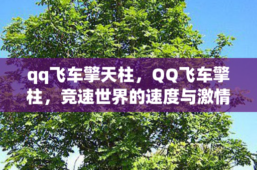 qq飞车擎天柱,QQ飞车擎柱,竞速世界的速度与激情 qq飞车擎天柱,QQ飞车擎柱,竞速世界的速度与激情
