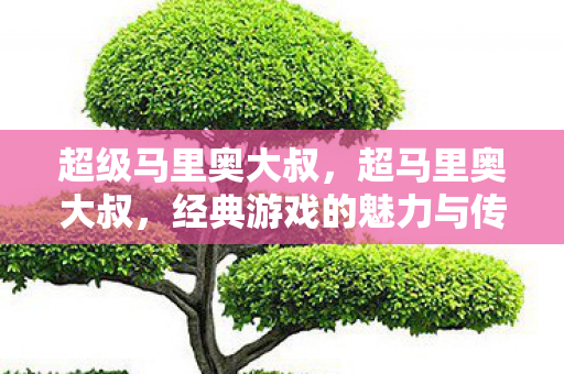 超级马里奥大叔,超马里奥大叔,经典游戏的魅力与传承 超级马里奥大叔,超马里奥大叔,经典游戏的魅力与传承