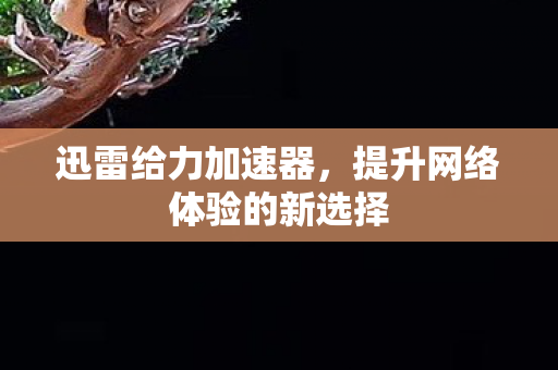 迅雷给力加速器,提升网络体验的新选择 迅雷给力加速器,提升网络体验的新选择