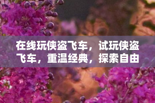 在线玩侠盗飞车,试玩侠盗飞车,重温经典,探索自由世界的无限可能 在线玩侠盗飞车,试玩侠盗飞车,重温经典,探索自由世界的无限可能