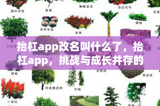 抬杠app改名叫什么了,抬杠app,挑战与成长并存的社交新平台 抬杠app改名叫什么了,抬杠app,挑战与成长并存的社交新平台