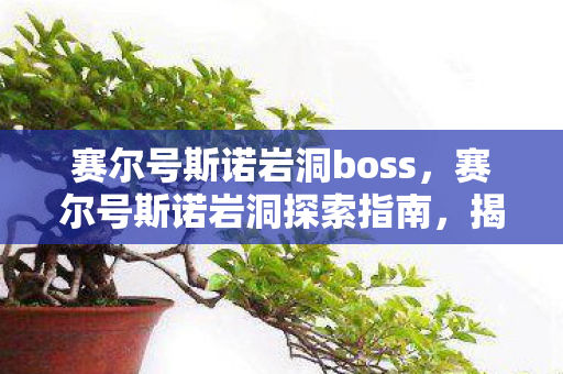 赛尔号斯诺岩洞boss，赛尔号斯诺岩洞探索指南，揭秘神秘地点的位置与特色