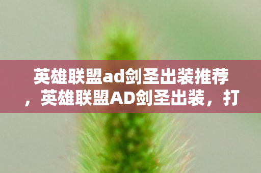 英雄联盟ad剑圣出装推荐,英雄联盟AD剑圣出装,打造最强战斗力的关键 英雄联盟ad剑圣出装推荐,英雄联盟AD剑圣出装,打造最强战斗力的关键