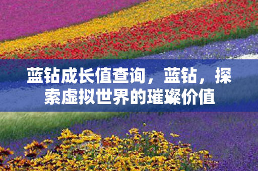蓝钻成长值查询，蓝钻，探索虚拟世界的璀璨价值