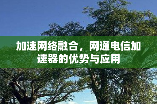 加速网络融合,网通电信加速器的优势与应用 加速网络融合,网通电信加速器的优势与应用